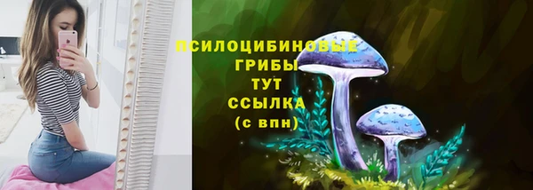 прущие крисы Богородицк