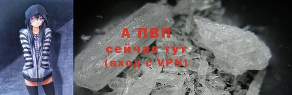 винт Богданович