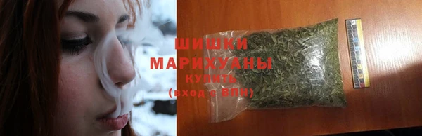 винт Богданович