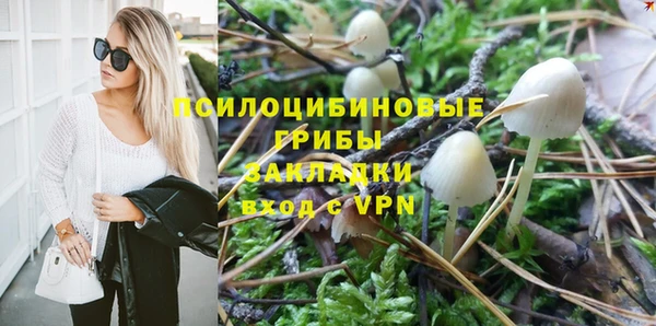 винт Богданович