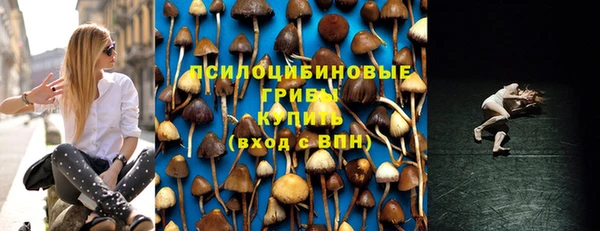 винт Богданович