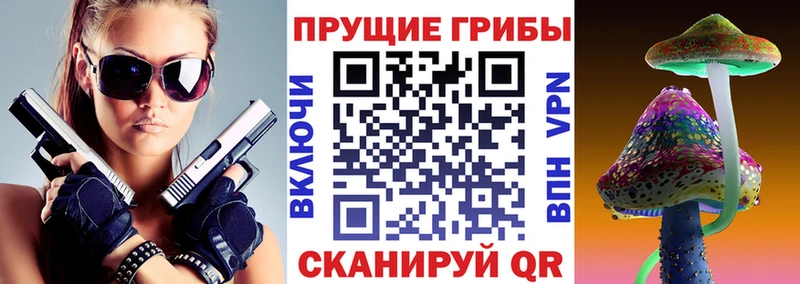 наркотики Егорьевск Галлюциногенные грибы GOLDEN TEACHER